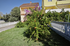 IMG_20261003_130805